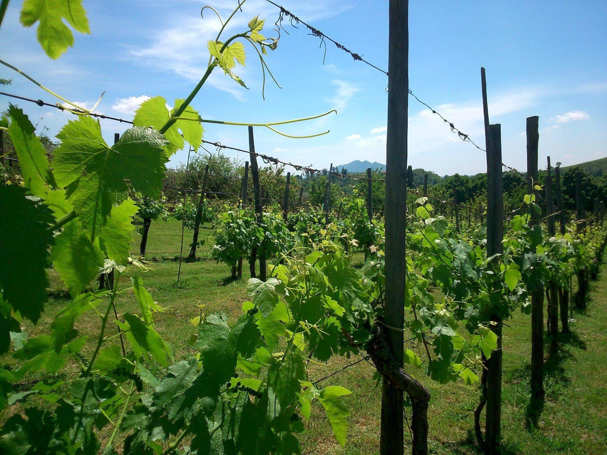 Borgodoro - Natural Retreat Magliano Sabina Εξωτερικό φωτογραφία
