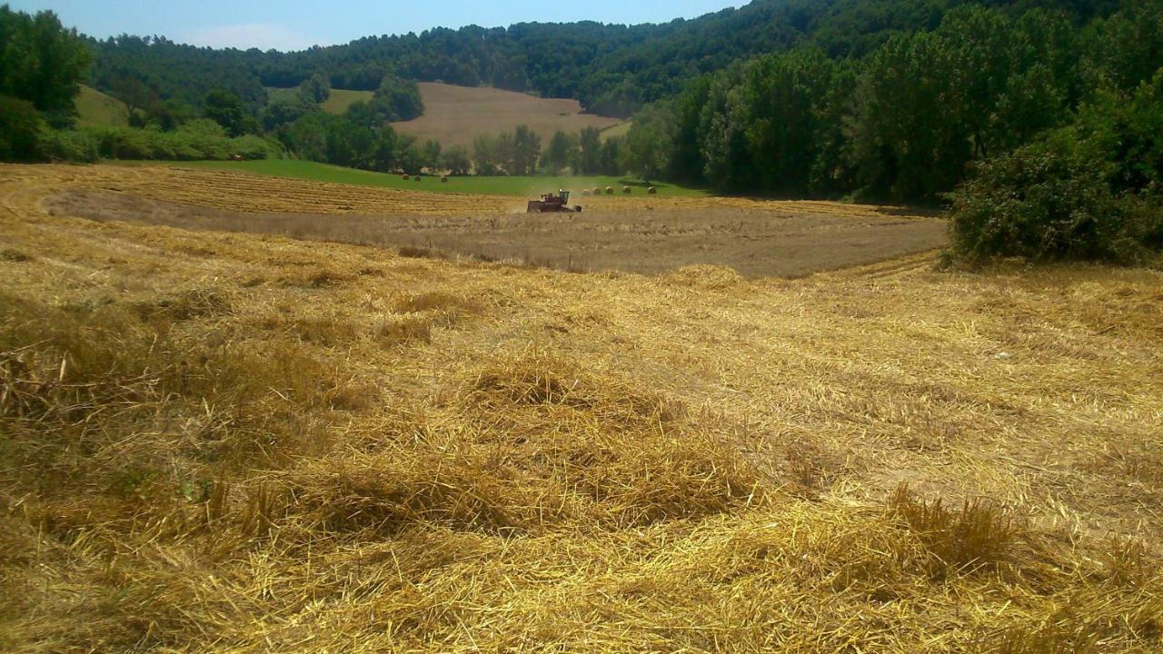 Borgodoro - Natural Retreat Magliano Sabina Εξωτερικό φωτογραφία